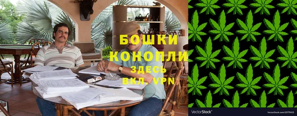 прущие грибы Осинники