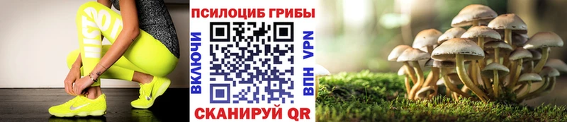 Псилоцибиновые грибы Magic Shrooms  как найти   Петухово 